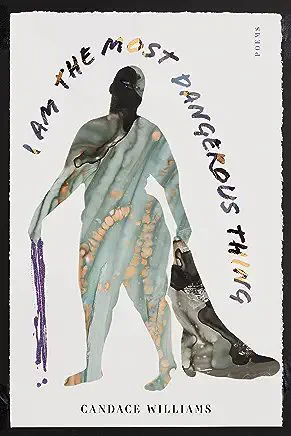 I Am the Most Dangerous Thing by Candace Williams