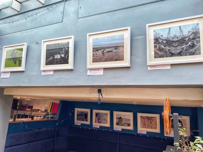 The Meridian Raw CIC photography exhibition of participants works at the Exeter Picturehouse