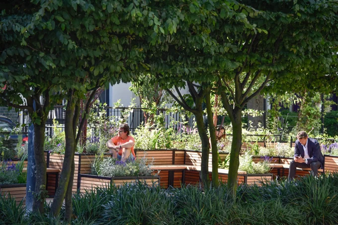 A parklet in amongst trees