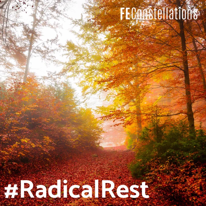 "An enchanting forest ablaze with shades of orange, as autumn leaves blanket the ground and the trees create a vibrant canopy overhead."