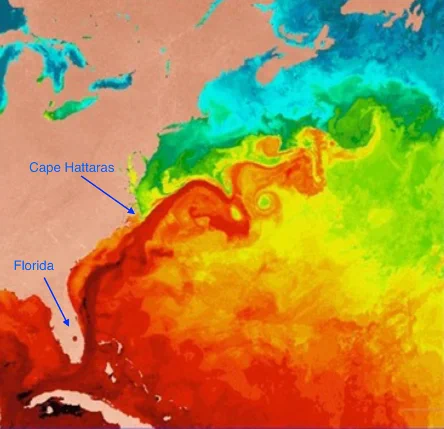 Map of sea surface temperature off the western North Atlantic showing Florida to St. Johns.  Strong red colours indicate warm areas and are hottest in the Caribbean and in the Gulf Stream (a warm band just offshore of the east coast of the USA).