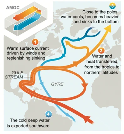 Schematic representation of circulation in the Atlantic where the Gulf Stream (along the east coast of the USA, flowing northwards) splits somewhere offshore of the Atlantic, with one 'branch' flowing northwards as part of the AMOC and the other branch flowing southwards as part of the return circulation of the subtropical gyre.