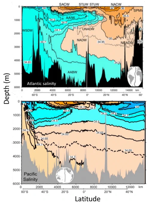 Vertical-latitude sections of salinity in the Atlantic (top) and Pacific (bottom).  In the Atlantic, you can see the deep penetration of northern origin waters to 2000-3000m, from which we infer southward flow.  In the Pacific, no such connection exists from the surface at northern latitudes to the mid-depth.