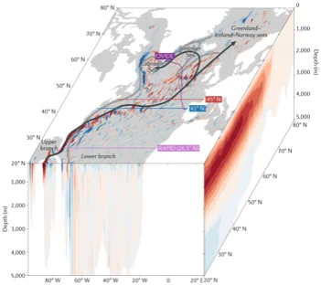 3d schematic in the North Atlantic showing ocean velocities at the surface and across 20°N (red is northward), and an integrated overturning stream function on the right face.  Arrows are overlaid to show the gyre/overturning branches.