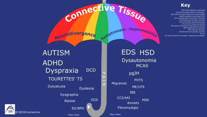 SEDSConnective Infographic
