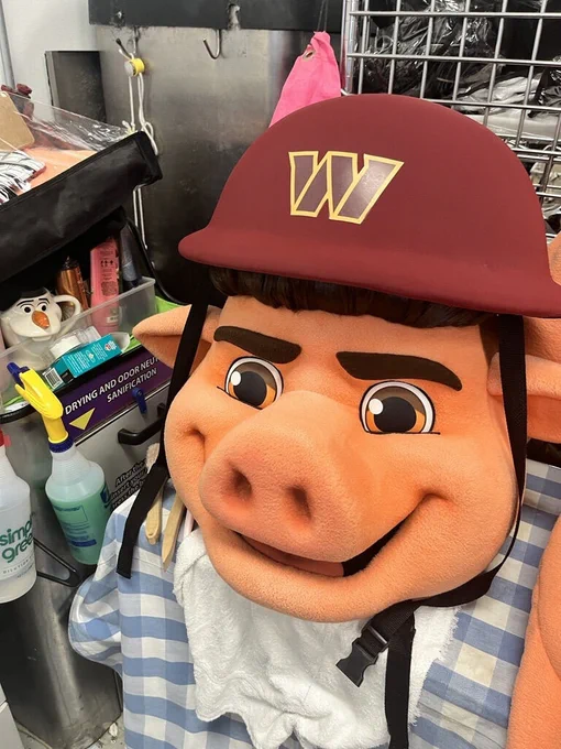 Washington Commander's mascot, Major Tuddy getting cleaned at a ZIPS location. 