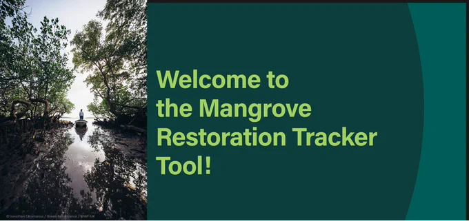 Graphic with the text "welcome to the mangrove restoration tracker tool!" to the left of the text is a photo of a person standing in a small boat in a channel lined with mangroves.