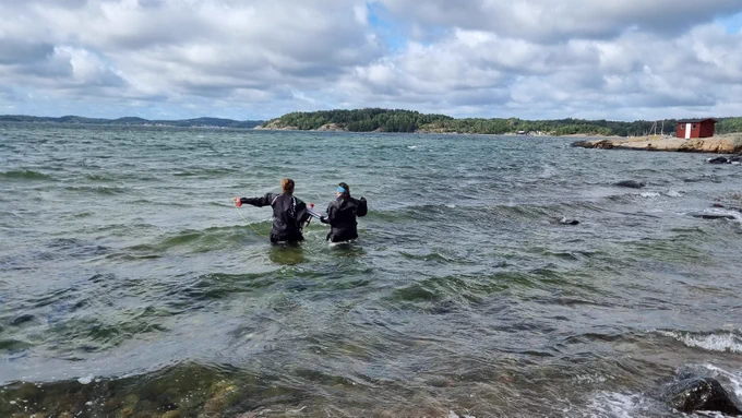 Two participants of the EMBL TREC expedition are about to dive in the lake to collect shallow water samples.
