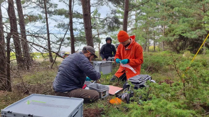 EMBL scientists and local volunteers are collecting samples in the forest near the coastline in Kristineberg.