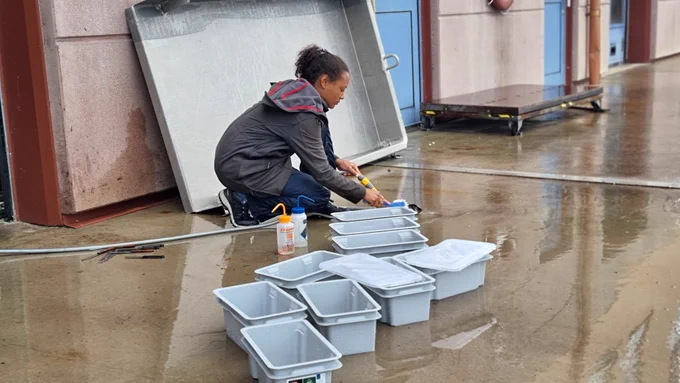 A local volunteer is helping to clean the sampling equipment.