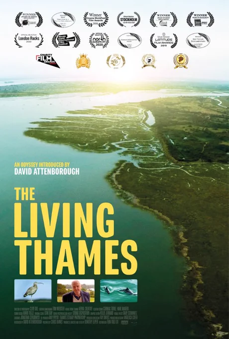 Movie poster for 'The Living Thames'. Ariel shot of the Thames, with text 'An Odyssey introduced by David Attenborough- The Living Thames