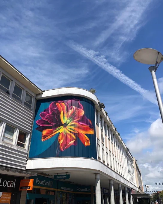 Street Art in Exeter