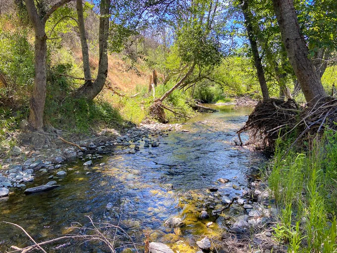 Conducing macroinvertebrate surveys on Stony Creek, Grindstone Ranger District. USDA Forest Service photo by Laura Leidner.