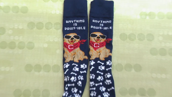 Soft socks and furry friends: Fundraising effort supports Cincinnati Children's Hospital therapy dog program (WKRC)