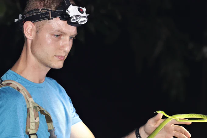 Dan with a handheld green viper of some sort, equipped with a headtorch and illuminated by camera flash in this night-time setting. 