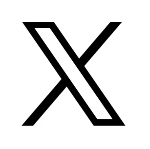 Light Version of the X logo