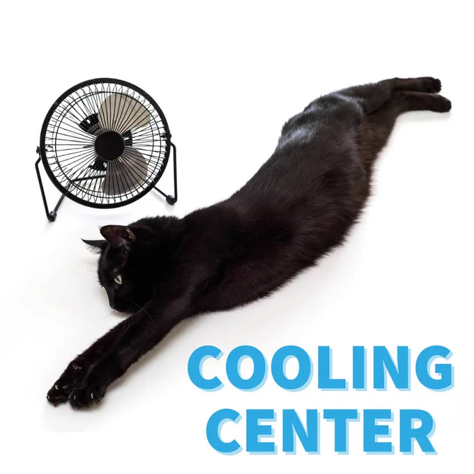 A black cat is stretched out in front of a fan. The text reads "Cooling Center" in blue. 