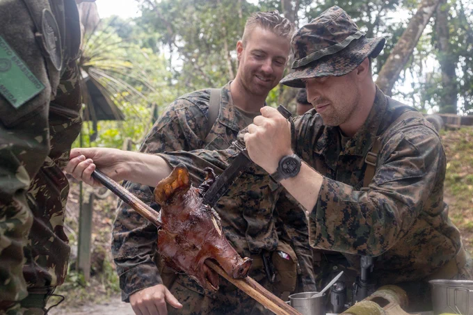 U.S. Marine Corps 1st Lt. Nathan Ryan, a platoon commander, and Sgt. Malcolm Rowe Jr., a squad leader with Fox Company, 2nd Battalion, 25th Marine Regiment, 4th Marine Division, Marine Forces Reserve, are seen carving a pig's head during the Jungle Amphibious Training School at Tradewinds 2023. The training took place at the Jungle Area Training Site in Guyana on July 23, 2023. Tradewinds, sponsored by the U.S. Southern Command, aims to bolster partnerships and interoperability, advocate human rights, and boost training capacity for planning, mitigating, and responding to crises and security threats. Ryan hails from Greenwood, New York, and is a Coastal Carolina University graduate with a degree in recreation and sports management. Rowe, a native of Fairfield, Connecticut, is a student at the University of New Haven. (U.S. Marine Corps photo by Cpl. Ryan Schmid)