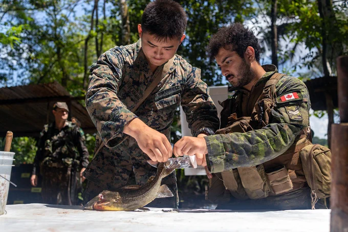 U.S. Marine Corps Lance Cpl. Henry Flanagan, a rifleman with Fox Company, 2nd Battalion, 25th Marine Regiment, 4th Marine Division, Marine Forces Reserve, and a member of the Canadian Armed Forces, are seen skinning a fish during the Jungle Amphibious Training School at Tradewinds 2023. The training was conducted at the Jungle Area Training Site in Guyana on July 21, 2023. Tradewinds, sponsored by the U.S. Southern Command, is intended to enhance partnerships and interoperability, advocate for human rights, and boost all participants' capacity to plan for, mitigate, and respond to crises and security threats. (U.S. Marine Corps photo by Cpl. Ryan Schmid)