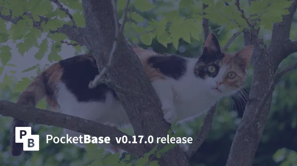 PocketBase v0.17.0 release banner with a suprised cat in the background