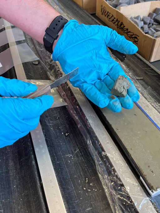 Close-up of a scientist's gloved hands holding a sample.