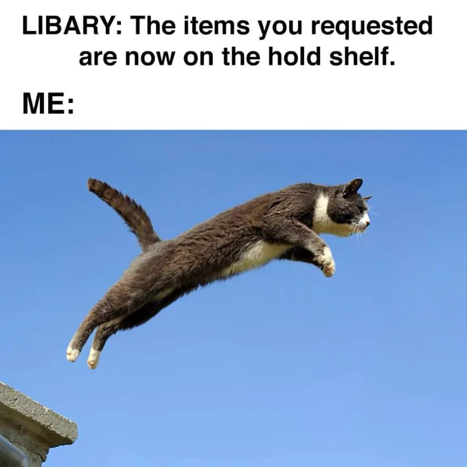 ]The text reads Library: The Items you requested are now on the hold shelf. 
Me: image of a grey cat leaping from a roof as if excited to go to the library for his holds. 
