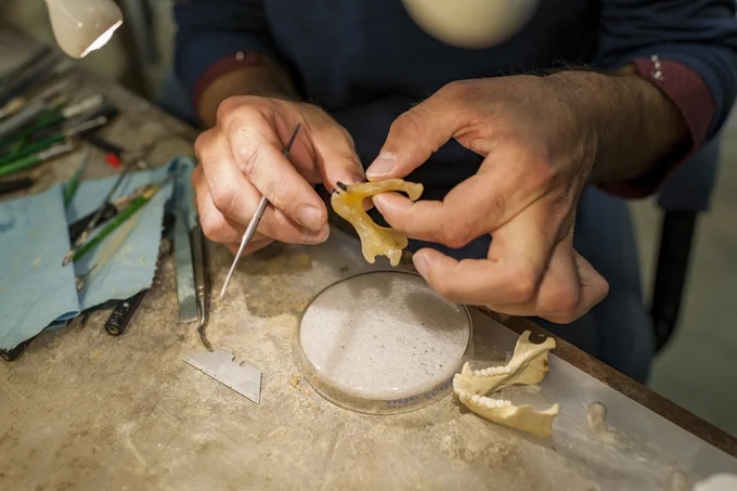close up of hands in a lab setting working on what appears to be very tiny teeth set in a jaw made of a waxy substance