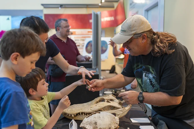 several people leaning over a table of reptile skulls and skeletons in a museum space
