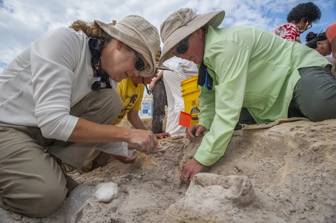 two people in outdoors clothing and hats sit and crouch over a small dirt pit with fossils in it