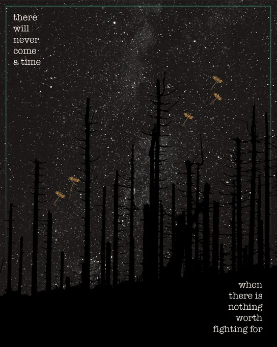 Burned forest silhouetted against a starry night sky, with yellow dandelion seeds blowing on the wind.