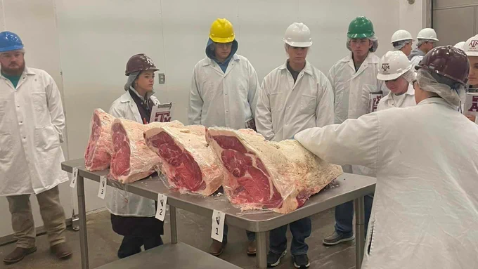 Camp attendees learning about meat judging at the Rosenthal Meat Science and Technology Center.