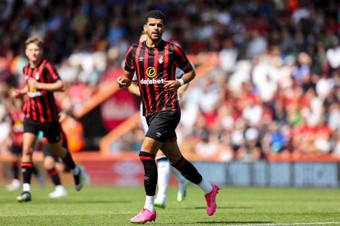 Dominic Solanke in action at Vitality Stadium. 
