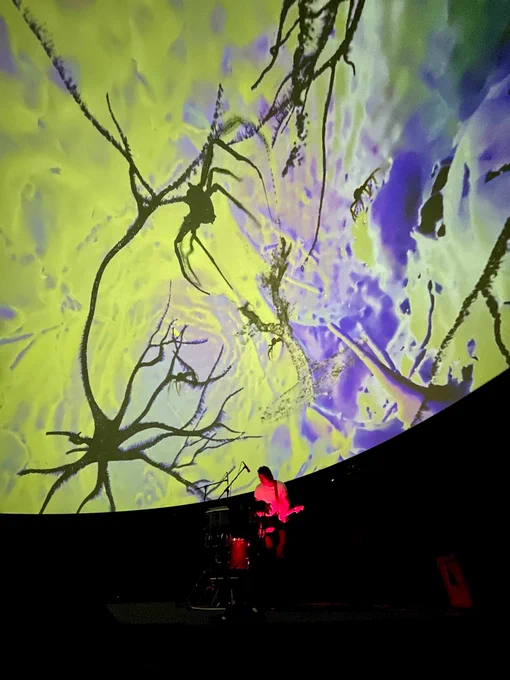 Daniel Benyamin während seiner live Performance, Foto: Nadja Tata/ MfN Berlin
