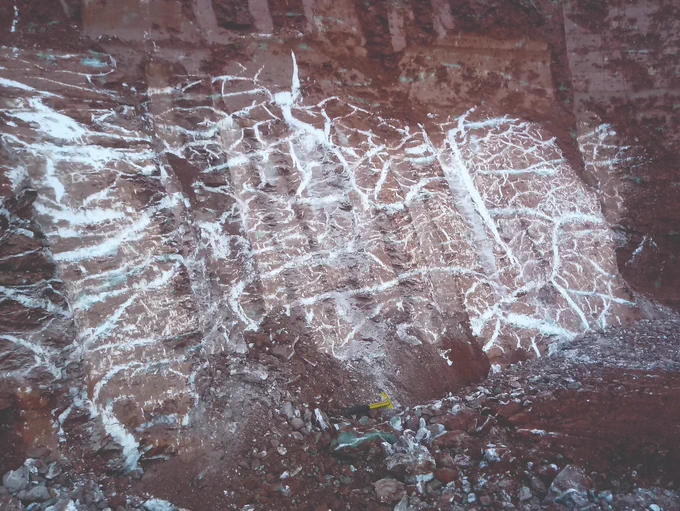 An exposure of bright white gypsum veins within reddish-brown coloured Mercia Mudstone