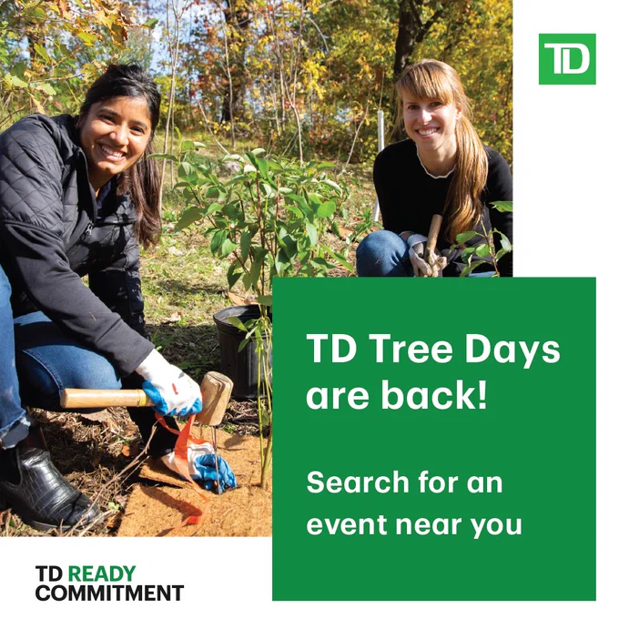 Two smiling women planting trees outdoor