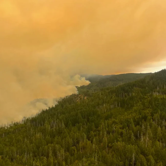 [Image Description:   The Flat Fire in Oregon. Smoke billows over the left side of a forest from aerial view.    Picture courtesy of Dan Martin; Lead Operations Chief, Statesman Journal.]