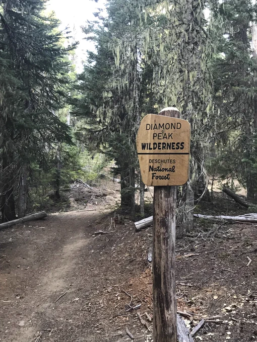 Diamond Peak Wilderness boundary sign in forested area.