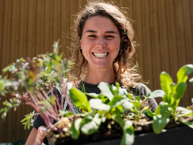 A basket of seedlings being held by someone at a Get Growing Victoria neighbourhood distribution day