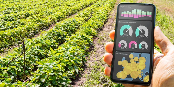 Hand holding a smart phone displaying a digital agriculture app in front of rows of crops.