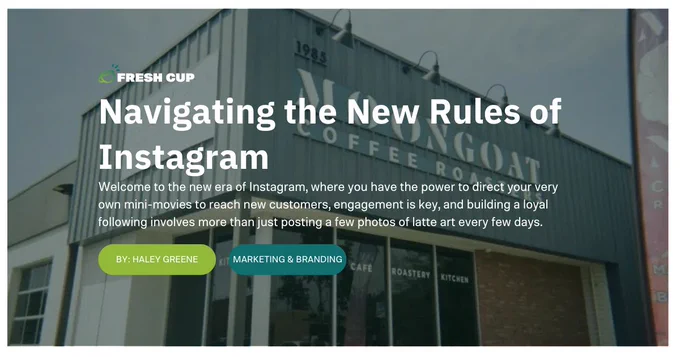 Navigating the New Rules of Instagram