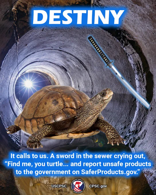 A common turtle in a sewer. In the dark, they see the glint of a blade sticking out of the sewer. They wander up to it. They can't look away. They reach for it with their turtle hand. The text reads: Destiny. It calls to us. A sword in the sewer crying out, "Find me, you turtle... and report unsafe products to the government on SaferProducts.gov."