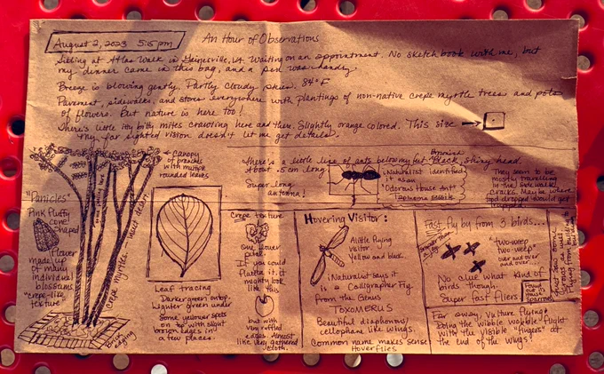 Sketch done on brown paper bag with a tree, birds, and insects.