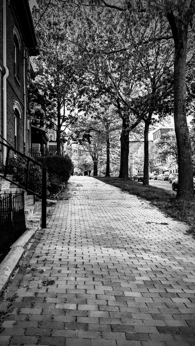 Random Street in Portland Maine 