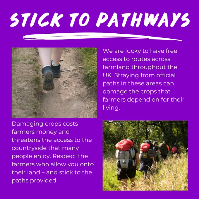 We are lucky to have free access to routes across farmland throughout the UK. Straying from official paths in these areas can damage the crops that farmers depend on for their living. Damaging crops costs farmers money and threatens the access to the countryside that many people enjoy. Respect the farmers who allow you onto their land – and stick to the paths provided.