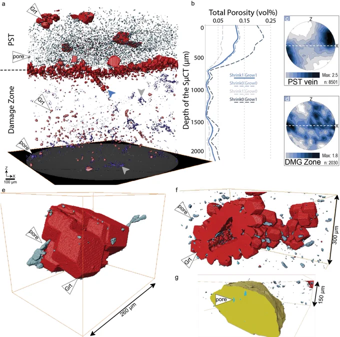 Synchrotron microCT volume of a pseudotachylyte (PST) vein and its immediate damage zone. Red are segmented garnets; blue are pores. Porosity is concentrated in the PST vein, in particular around garnets (single grain & framboidal varieties). Porosity in the vein was formed during the recrystallization of the vein, when garnet grew at the expense of the PST matrix. The density contrasts between garnet and the matrix created a net negative volume change - i.e. porosity. In the damage zone, porosity formed during the initial rupture propagation is locally preserved due to local inefficient healing of the fractures.