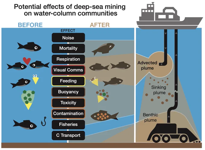 Diagram listing some of the ways that mining on the seafloor or seamounts can spread throughout the water column, affecting ecosystem far beyond the seafloor. 
Also see Drazen et al. for a more in-depth analysis [1]. 
(Free link in the tweet expires in 30 days)
1. https://doi.org/10.1073/pnas.2011914117