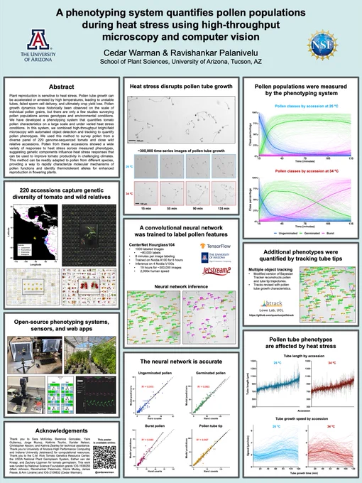 A plant biology conference poster. Pollen phenotyping under heat stress is described. 