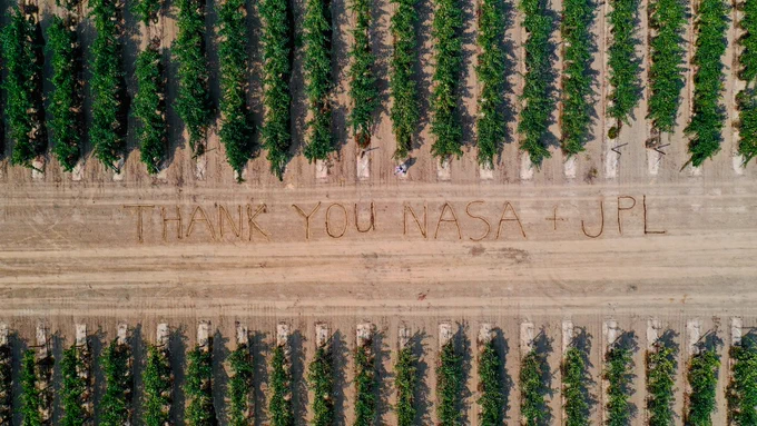A vineyard with a message written across the dirt walkway in between each crop is shown in an aerial photo. Along the top and bottom of the image, extending out into a long stretch of dirt right in the center, are vibrant green grapevines perfectly spaced out. In the center of the image is the message "Thank you NASA   JPL" etched deep into the dirt so that it can be seen clearly from the air. The ground along the center and peeking through the grape vines is a light brown color, with darker sports indicating it was driven over or plowed.