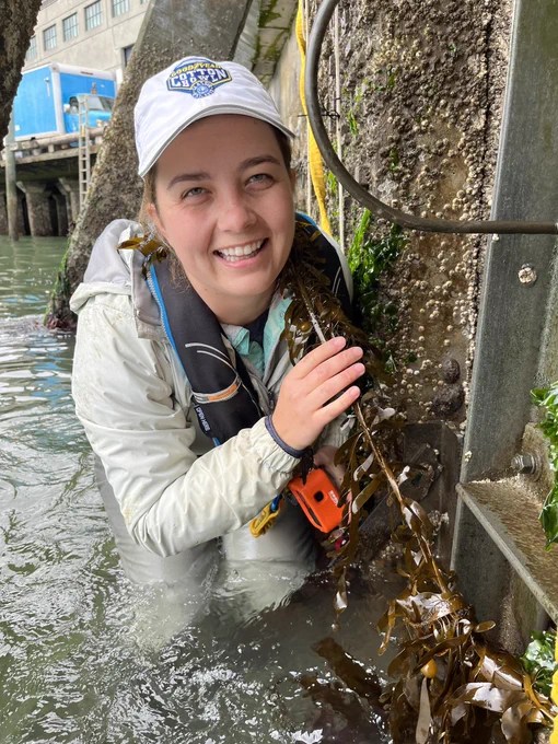 Corryn (SERC grad student) poses on a frame with some feather boa kelp wrapped around her neck while still attached to one of the experimental tiles from the Living Seawall Project.