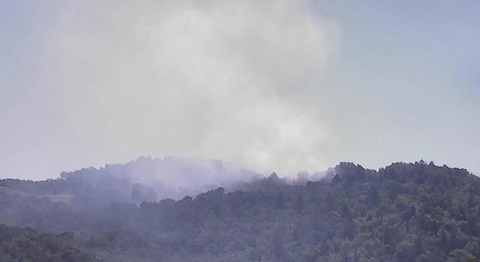 A screenshot from a wildfire camera showing smoke from a vegetation fire on a hillside.